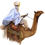 camel 1.jpg